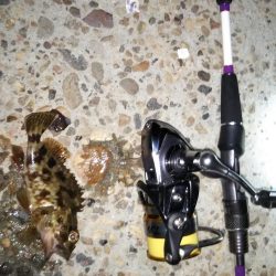 久々のみんなでメバリング♪