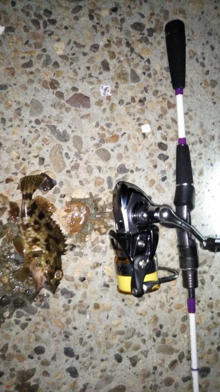 久々のみんなでメバリング♪