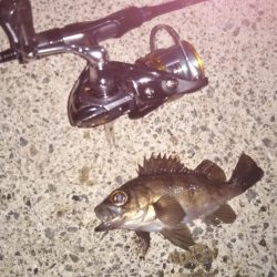 ライトゲーム帰れま10…0!?