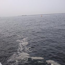 アジとサバのみ