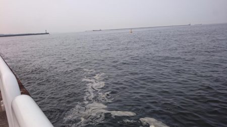 アジとサバのみ