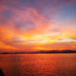 色を変えながら