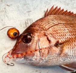 利弥丸(としやまる) 釣果