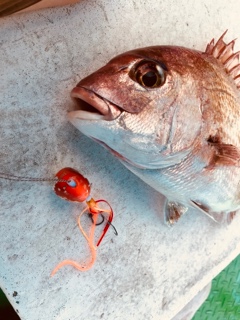 利弥丸(としやまる) 釣果