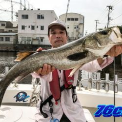 オーシャンマスター 釣果