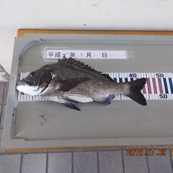 姫路市立遊魚センター 釣果