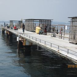 下関フィッシングパーク 釣果