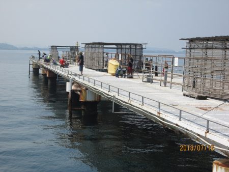 下関フィッシングパーク 釣果