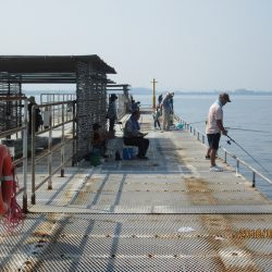 下関フィッシングパーク 釣果