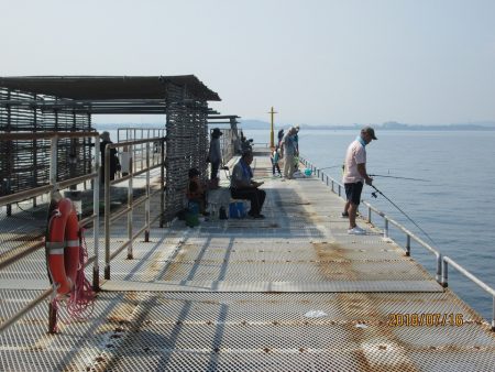 下関フィッシングパーク 釣果