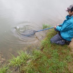 フィッシングレイクたかみや 釣果