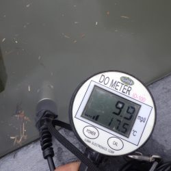 フィッシングレイクたかみや 釣果