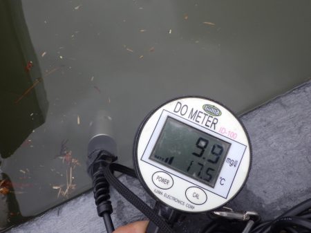 フィッシングレイクたかみや 釣果