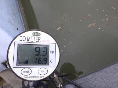 フィッシングレイクたかみや 釣果