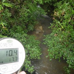 フィッシングレイクたかみや 釣果