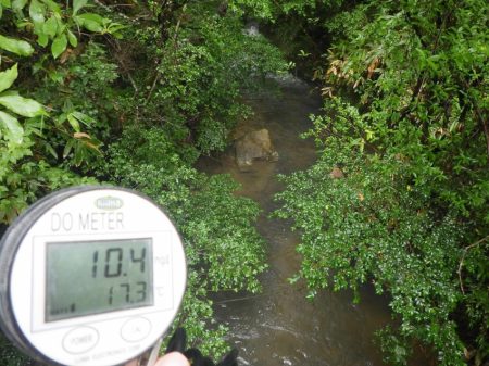 フィッシングレイクたかみや 釣果