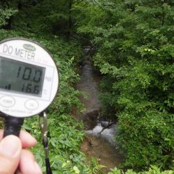 フィッシングレイクたかみや 釣果