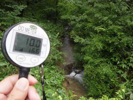 フィッシングレイクたかみや 釣果