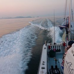 フィッシングボートACE（エース） 釣果