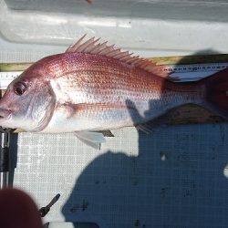 フィッシングボートACE（エース） 釣果