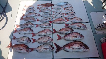 フィッシングボートACE（エース） 釣果