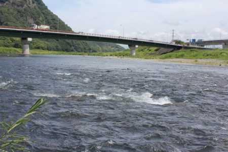 狩野川(狩野川漁業協同組合) 釣果