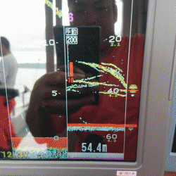 遊漁船ブルーウッズ 釣果