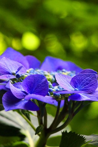 小菅トラウトガーデン 釣果