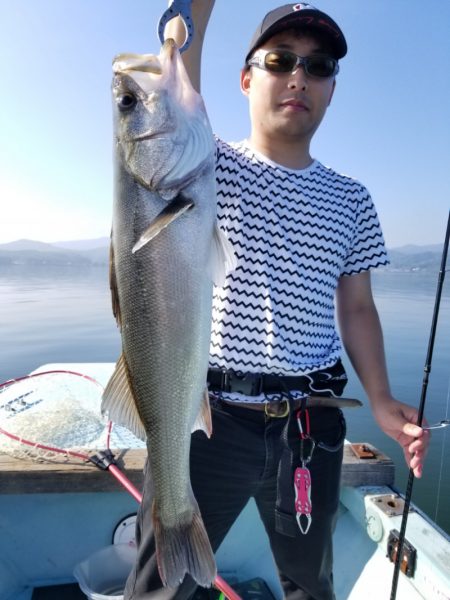 アマテラス 釣果