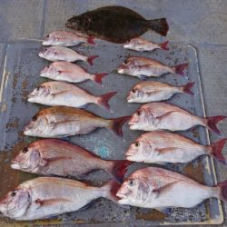 FISHING RISKY 釣果