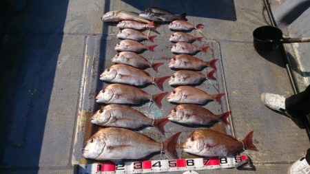 FISHING RISKY 釣果