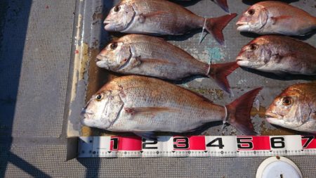 FISHING RISKY 釣果