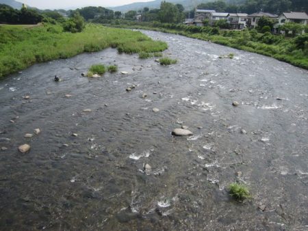狩野川(狩野川漁業協同組合) 釣果