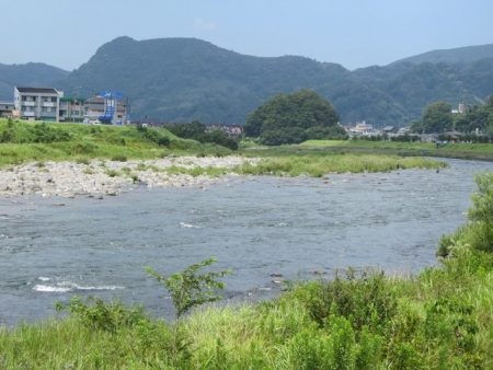 狩野川(狩野川漁業協同組合) 釣果