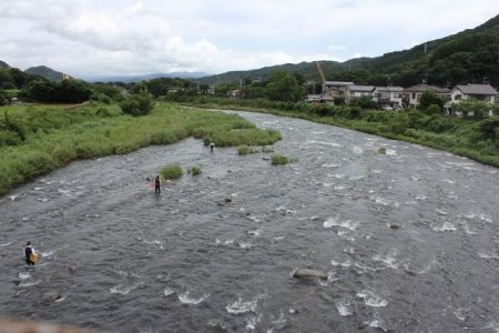 狩野川(狩野川漁業協同組合) 釣果