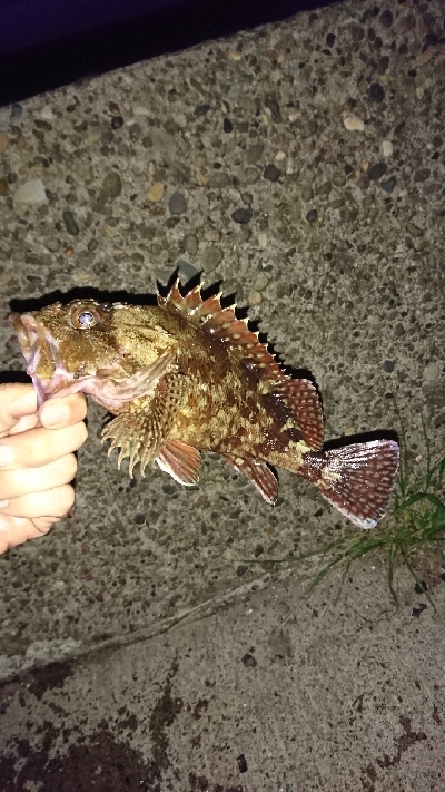 久しぶりの釣り