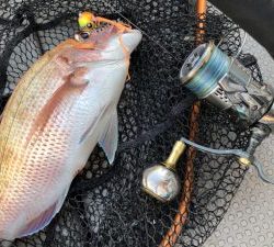 白墨丸 釣果