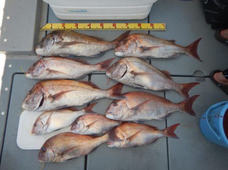 sea boss シーボス 釣果