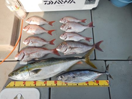 sea boss　シーボス 釣果