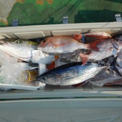 sea boss　シーボス 釣果