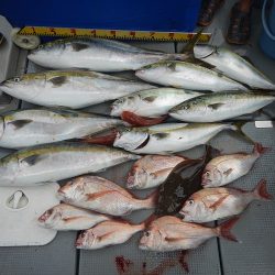 sea boss シーボス 釣果