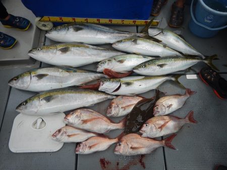 sea boss　シーボス 釣果