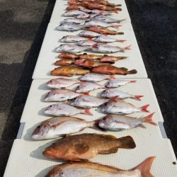 オーフリー 釣果