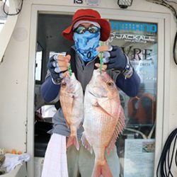 松本釣船2 釣果