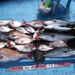 海宝丸 釣果