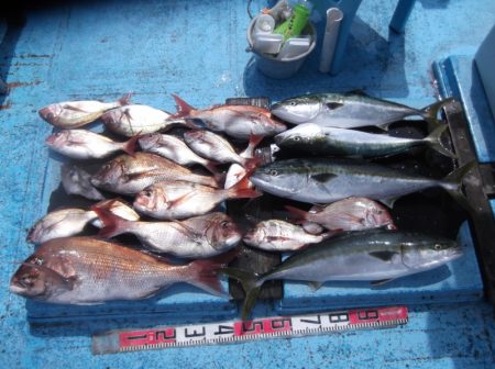 海宝丸 釣果