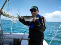 おおせき丸 釣果