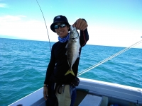 おおせき丸 釣果