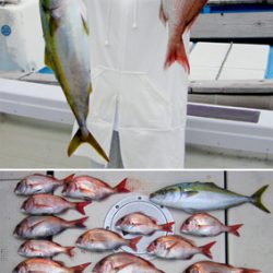 来温丸(らいおんまる) 釣果