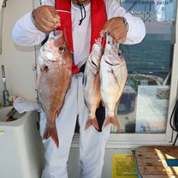 松本釣船２ 釣果